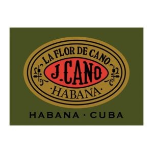 FLOR DE CANO